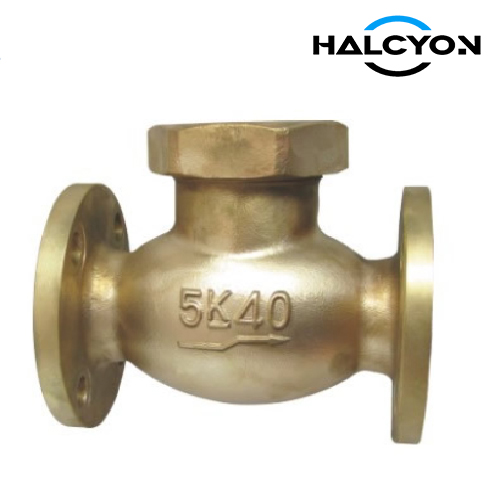 JIS F7356 Bronze Lift Check Valve